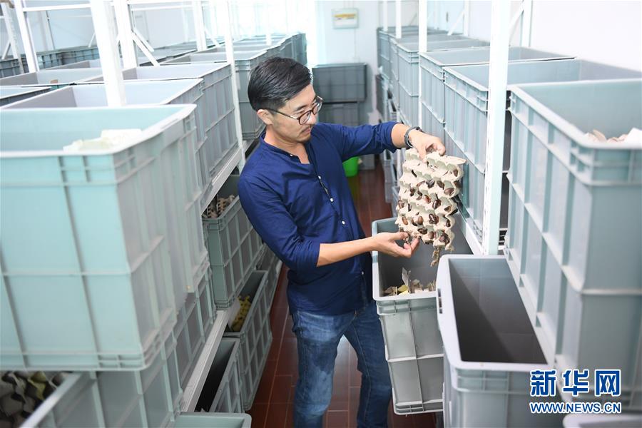 ??????: ????? ????? ??  