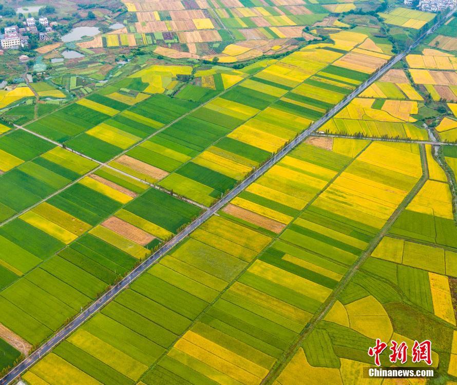 ?????? ???? ?? ???? ?????? ??????? ?? ???????