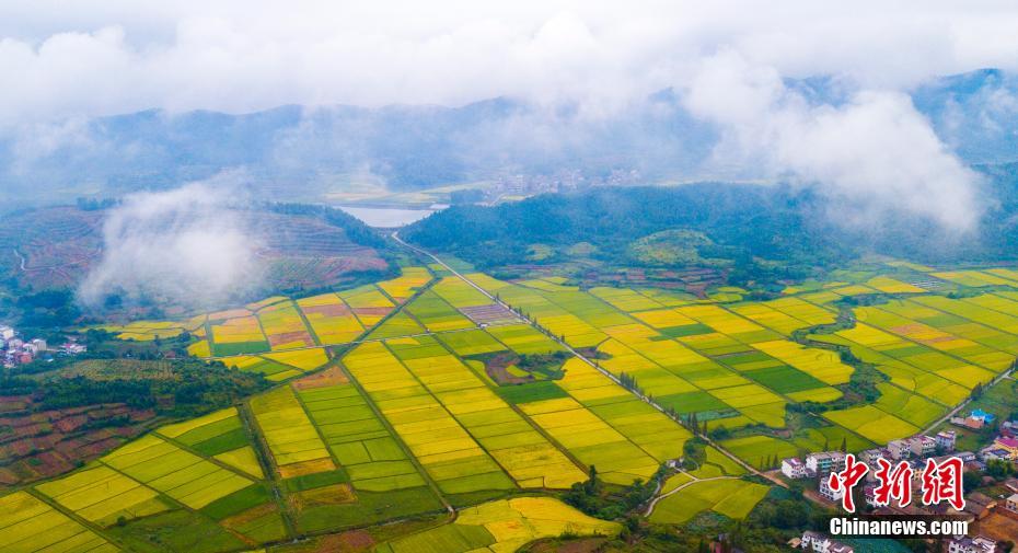 ?????? ???? ?? ???? ?????? ??????? ?? ???????