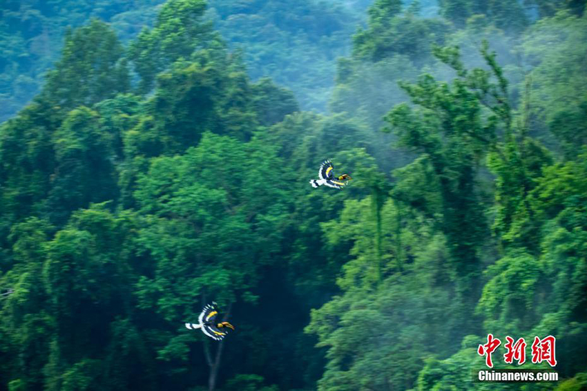 ?????? ?? ???? ???? ?????.. ??? ????? ?????? ????? ?? ???????