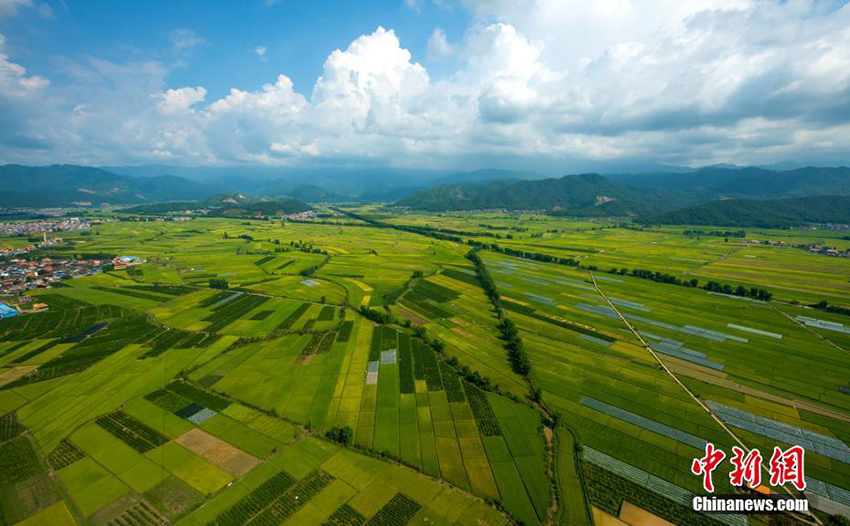 ?????? ?? ???? ???? ?????.. ??? ????? ?????? ????? ?? ???????