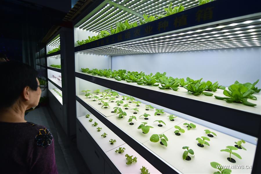 ????? : ???????? ?????? ???????? ?????????? ?????? ????? ????? ????? ?? ???? ???????? ??????? - ???????