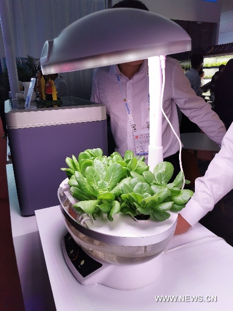 ????? ??????: ?? ????? ????? ???? ??? ???? ???? ???? ... ?????? ????? ?? ???? ????? ?????? ???????