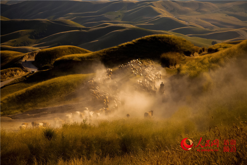 ???? ????? ????? ???????? ?? ??????