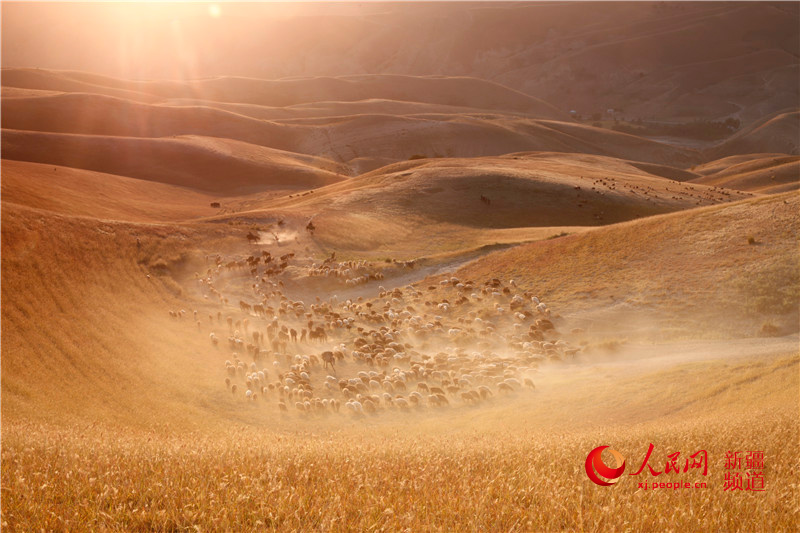 ???? ????? ????? ???????? ?? ??????