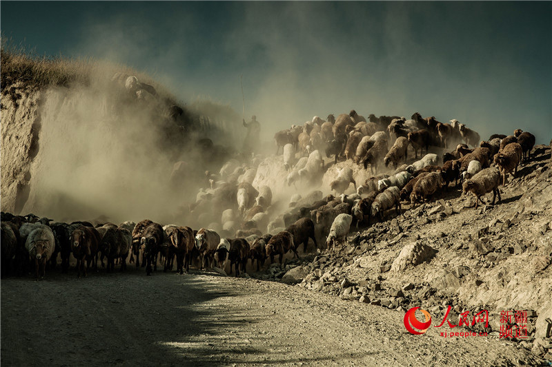 ???? ????? ????? ???????? ?? ??????