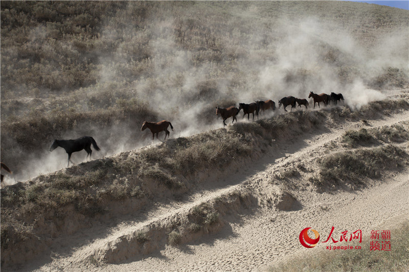 ???? ????? ????? ???????? ?? ??????