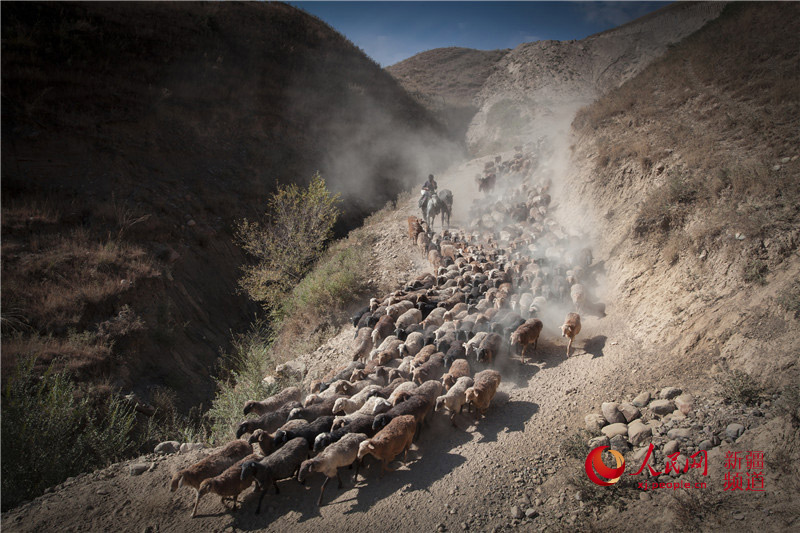 ???? ????? ????? ???????? ?? ??????