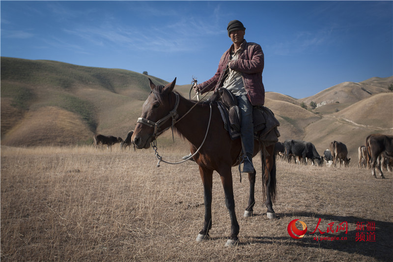 ???? ????? ????? ???????? ?? ??????