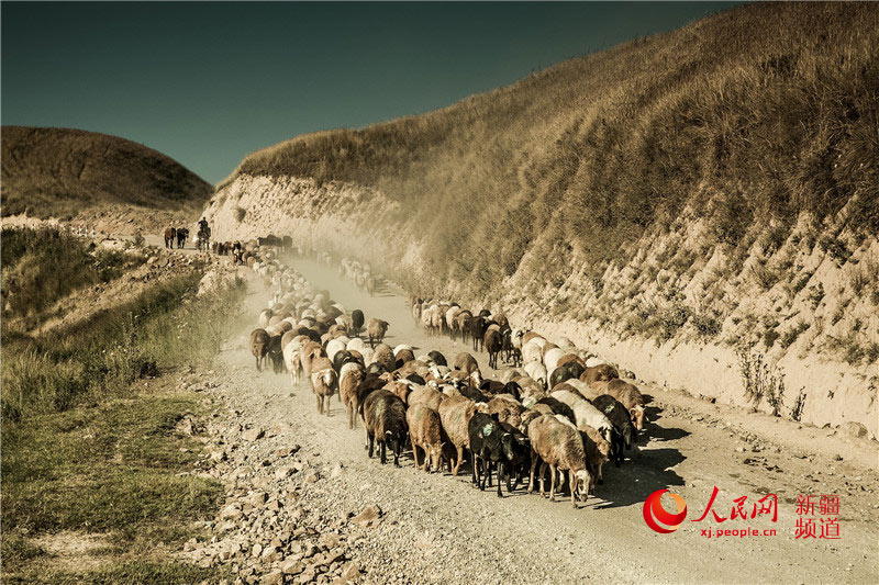 ???? ????? ????? ???????? ?? ??????