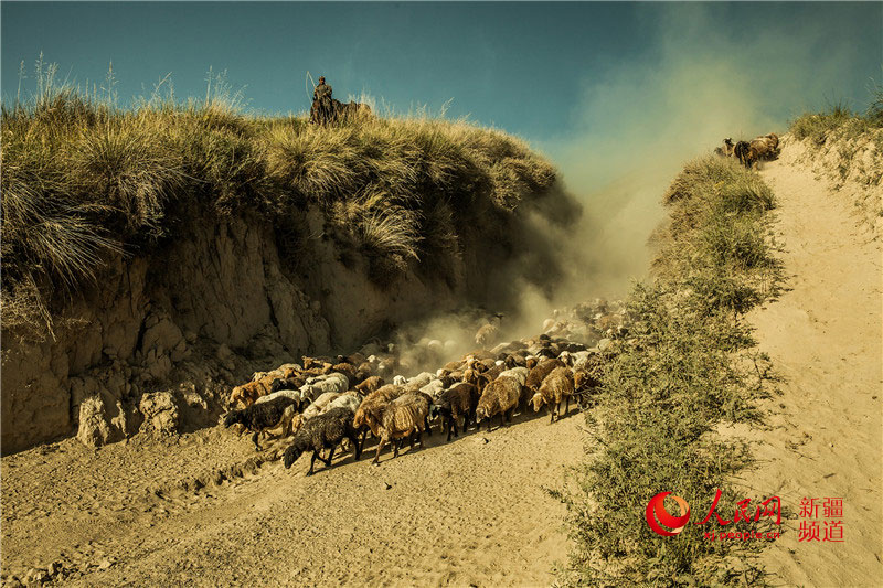 ???? ????? ????? ???????? ?? ??????