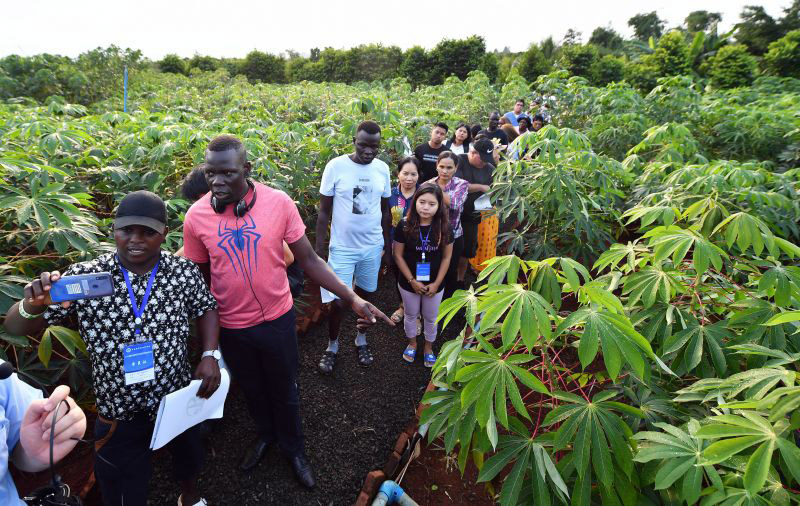 ??????? ??????? ??????????? ???????? ?????????? ?? ?????