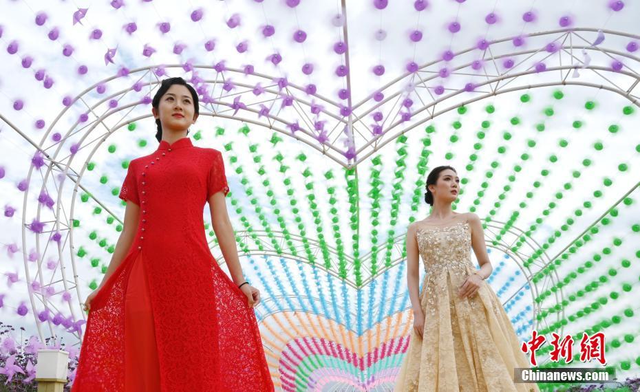 ????? ???? ?????? ????? ??? ????? ??????? ???????