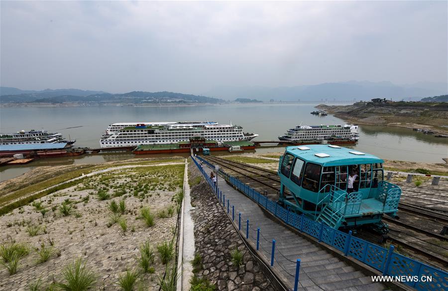 ???? ??????? ??????? ???? ????? ?????? ??????? 175 ????