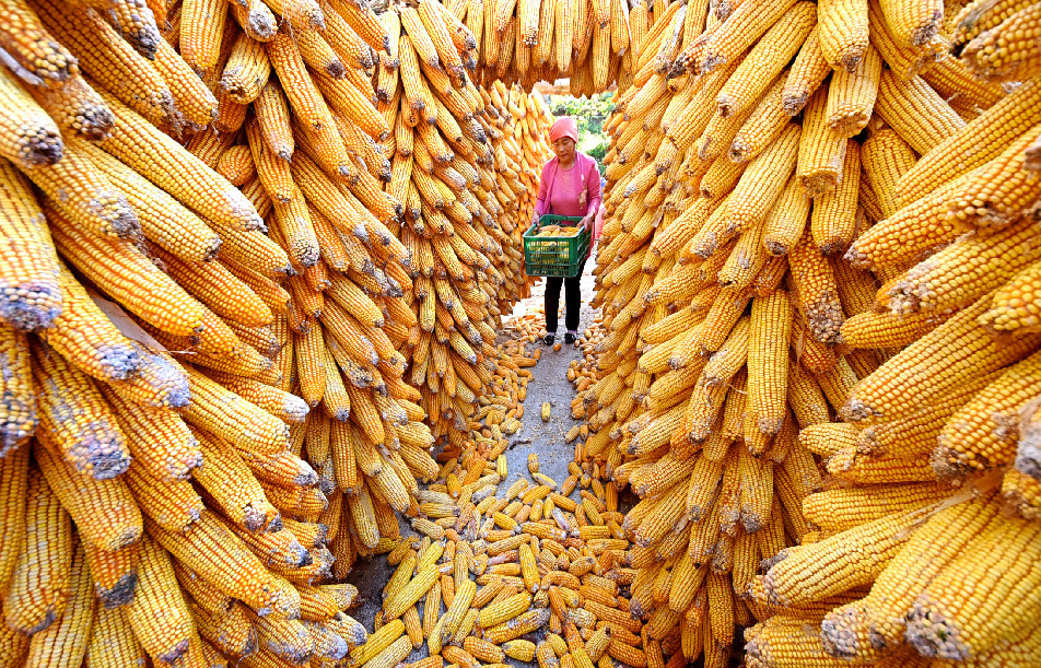 ????? ???? ????? ????? ?? ??????