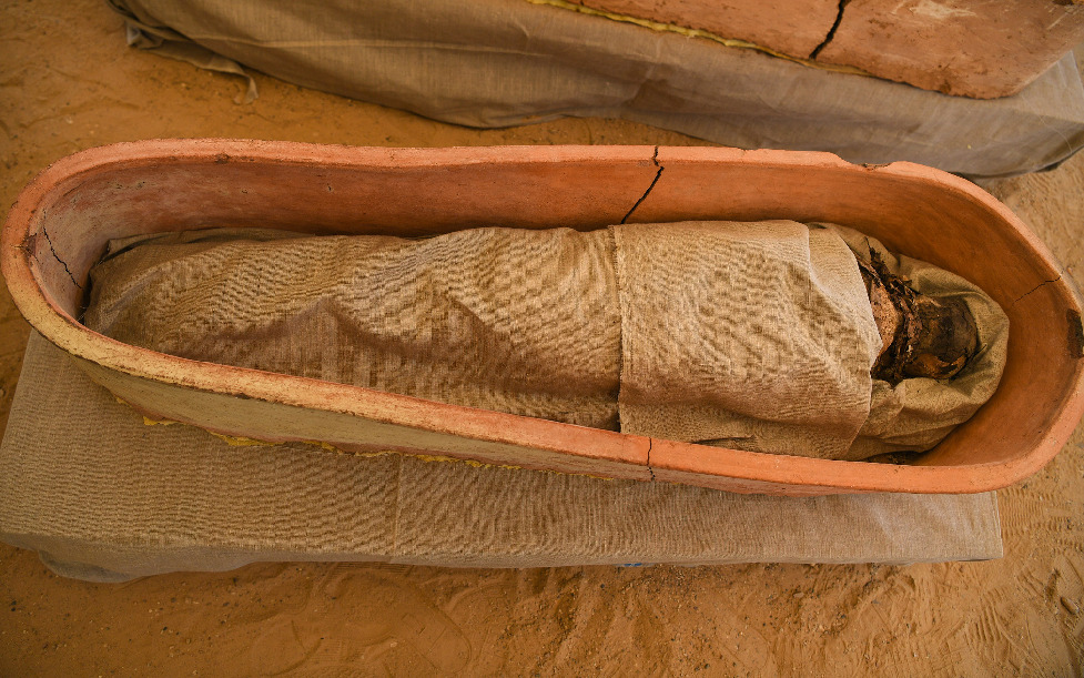 ????? ??????: ??? ????? ??????? ???? ???? ??????? ???? ???????? ??????? ????