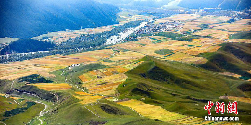 ?????: ????? ?????? ???? ????? ????? ?? ???? ??????? ????? ???? ?????