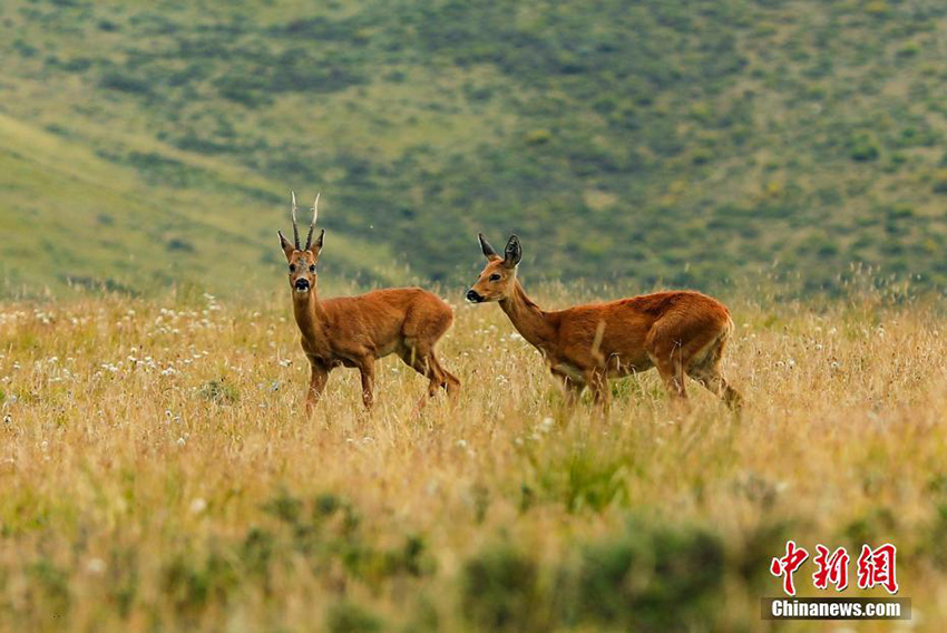 ?????: ????? ?????? ???? ????? ????? ?? ???? ??????? ????? ???? ?????