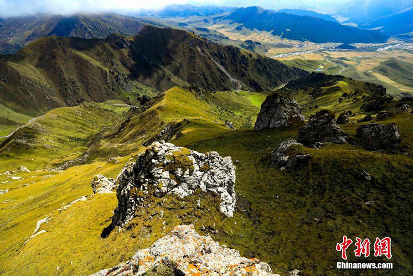 ?????: ????? ?????? ???? ????? ????? ?? ???? ??????? ????? ???? ?????