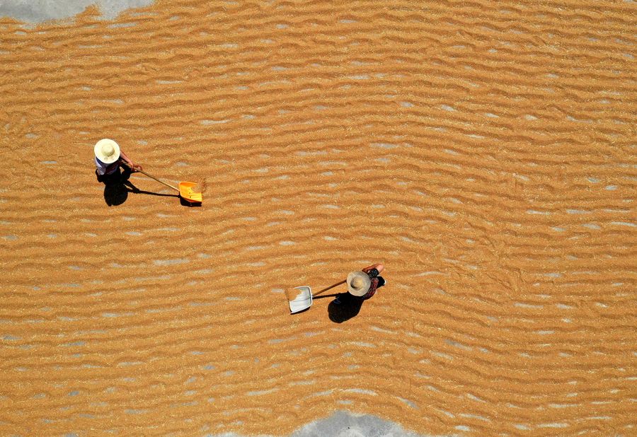 ?? ???? ??????? ??????? ?????? ???? ????????? ????????