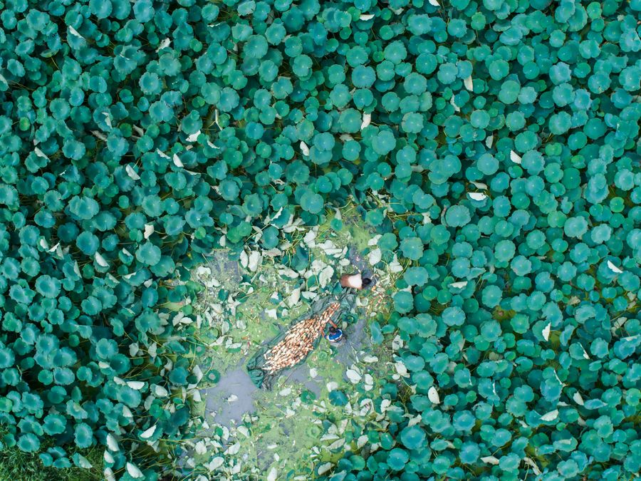 ?? ???? ??????? ??????? ?????? ???? ????????? ????????