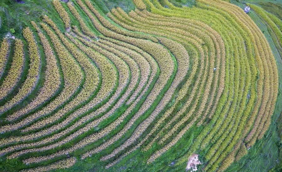 ?? ???? ??????? ??????? ?????? ???? ????????? ????????