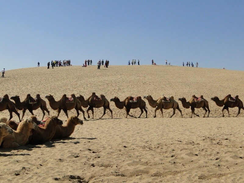 ??? ???????.. ??? ????? ?????? ????? ??????? ??????? ????? ??? ??? ??? 