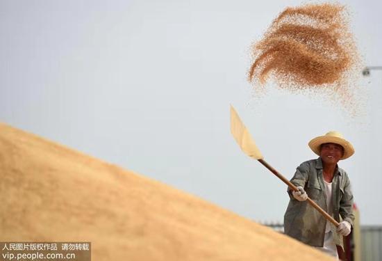 ?????: ??? ???? ????? ???????? ?????? ????????