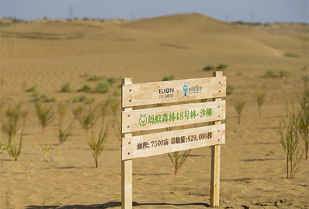 ????? ????? ???? ???? ?????? 