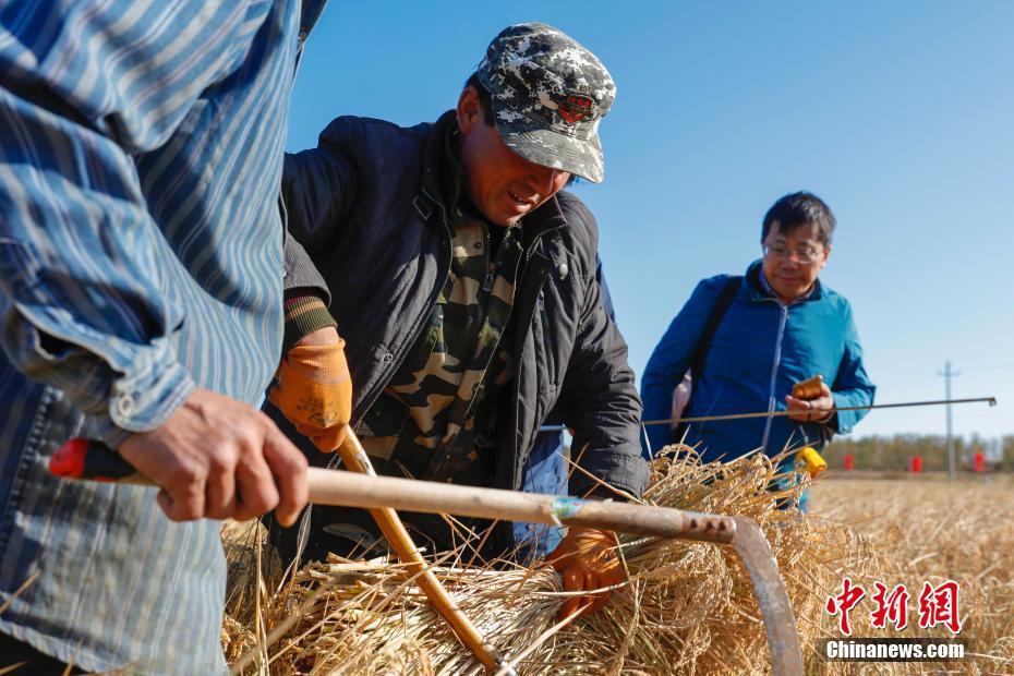 ??????: ????? ????? ????? ????? ??????? ?? ?????? ???????