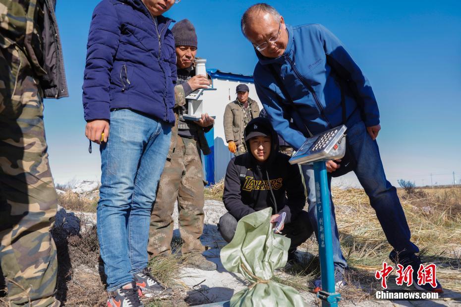 ??????: ????? ????? ????? ????? ??????? ?? ?????? ???????