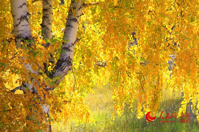 ???? ??????? ????????? ???? ????? ????? ???????