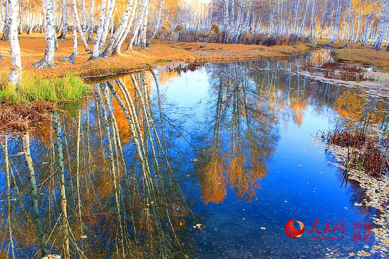 ???? ??????? ????????? ???? ????? ????? ???????