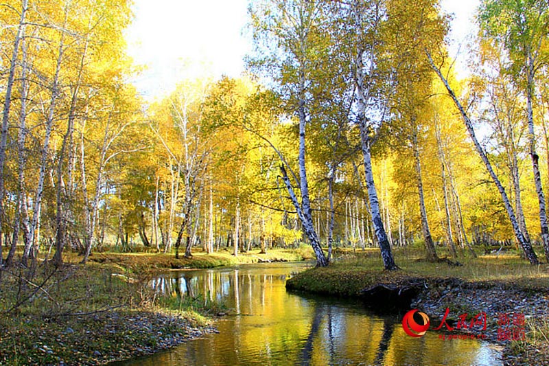 ???? ??????? ????????? ???? ????? ????? ???????