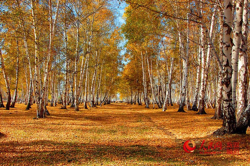 ???? ??????? ????????? ???? ????? ????? ???????