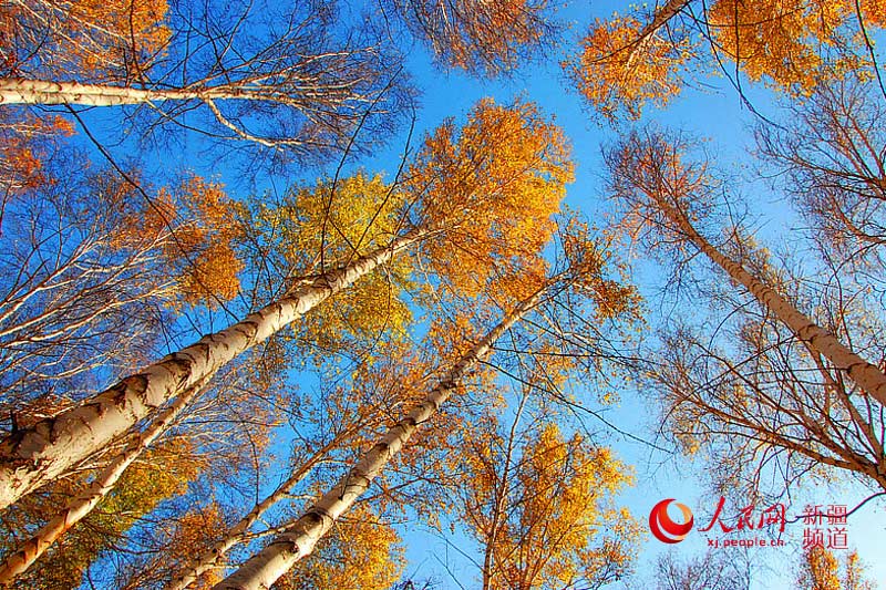 ???? ??????? ????????? ???? ????? ????? ???????