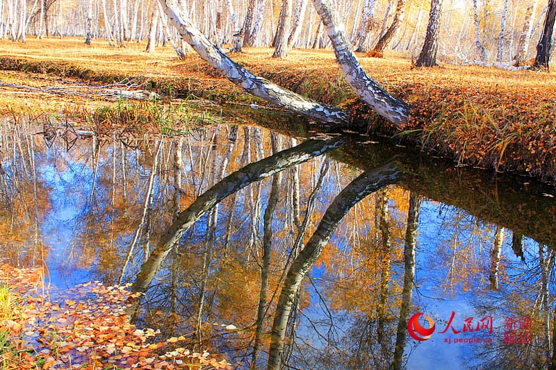 ???? ??????? ????????? ???? ????? ????? ???????