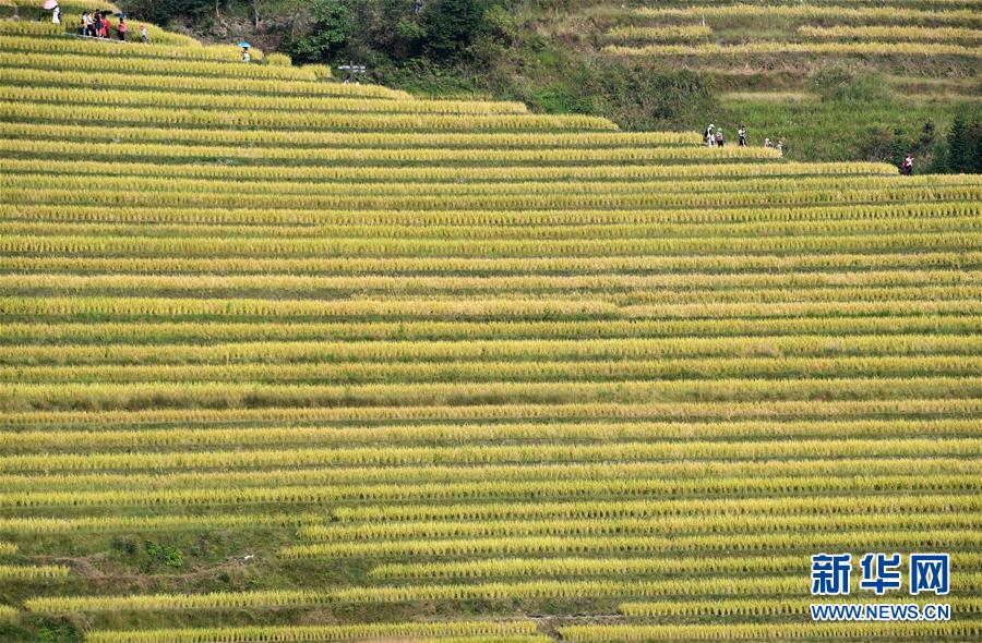 ??????? ???????? ??????? ?? ?????? ???????? ????????