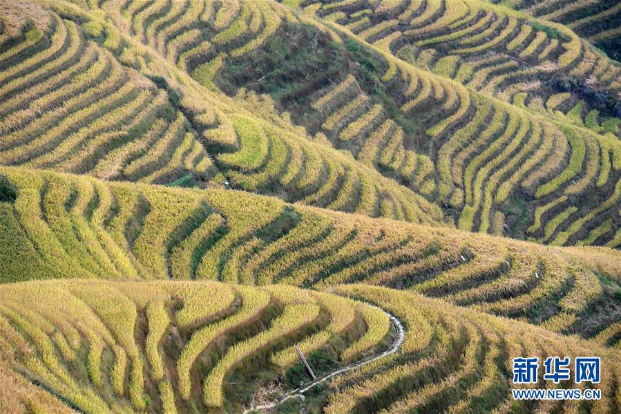 ??????? ???????? ??????? ?? ?????? ???????? ????????