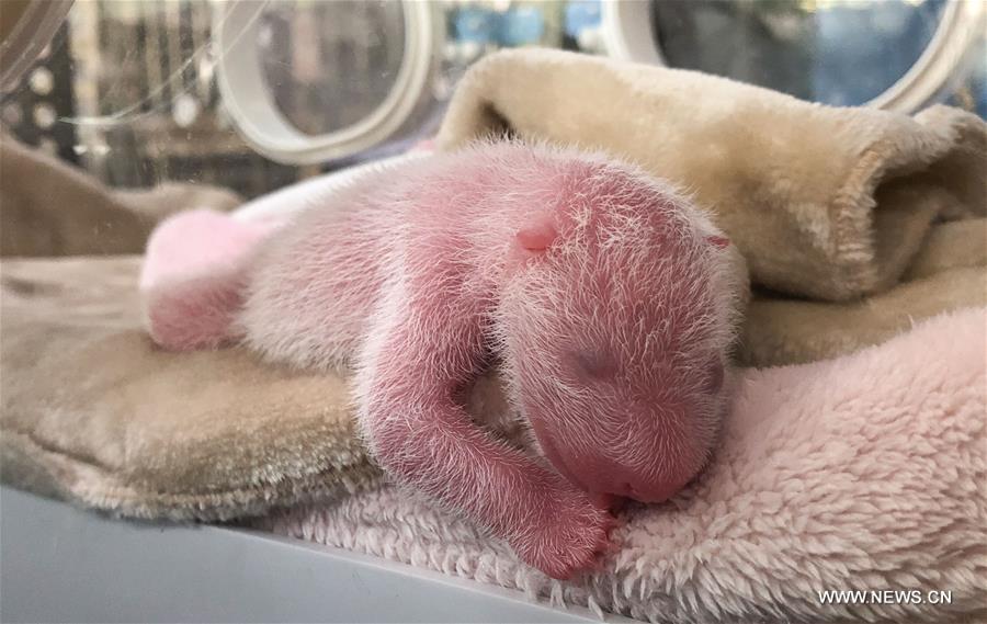 ????? ????? ????? ????? ???? ?????