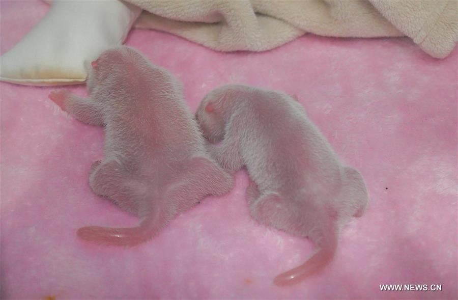 ????? ????? ????? ????? ???? ?????