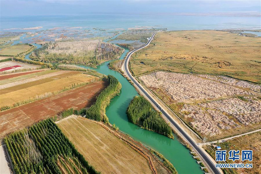 ??????: ?????? ???? ????? ???? ????? ???? ???? ????? ????? ????? ?????????