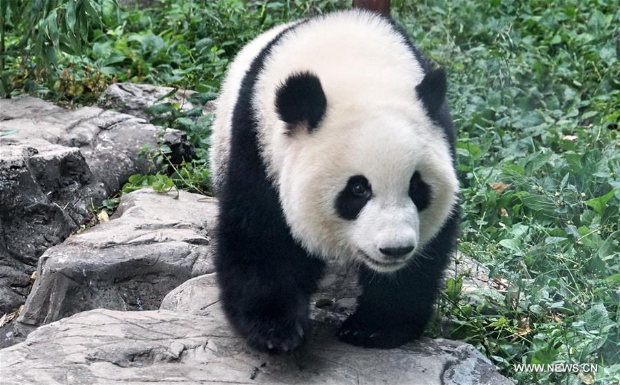 ??? ?????? ????? ??????? ?? ????? ????? ????