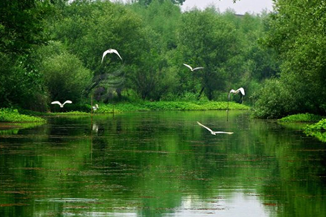 ??? ?? ????? ??100 ????? ???? ?????? ????? ???? ??????? ??????? ?????? ?????? ???????