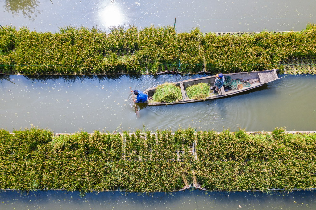 ??????: ????? ??? ????? ???????? ???? ???? ??????