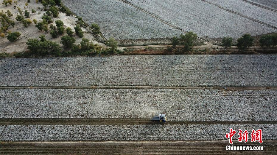 ??????: ???????? ???? ???? ???? ?????