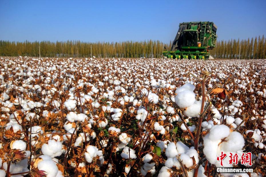 ??????: ???????? ???? ???? ???? ?????