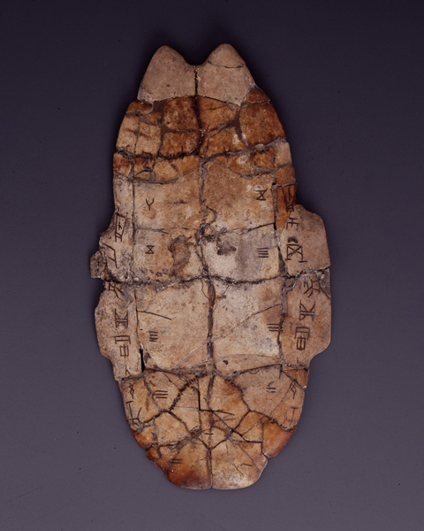 ??????: ???? ?????? ?????? ??? ???? ??????? ??????? ?? ?????? ??????