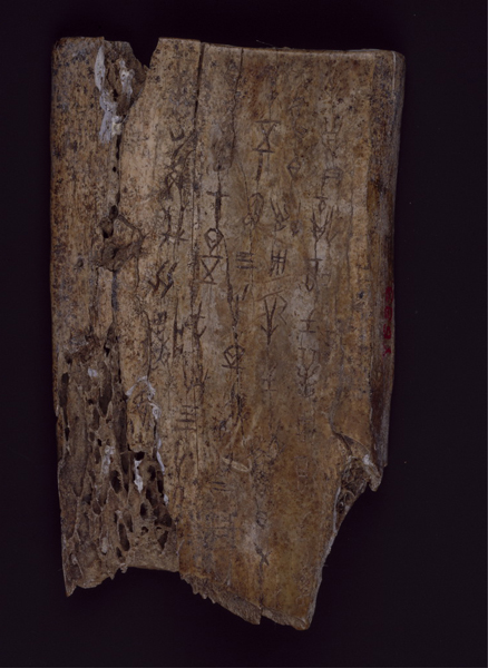 ??????: ???? ?????? ?????? ??? ???? ??????? ??????? ?? ?????? ??????