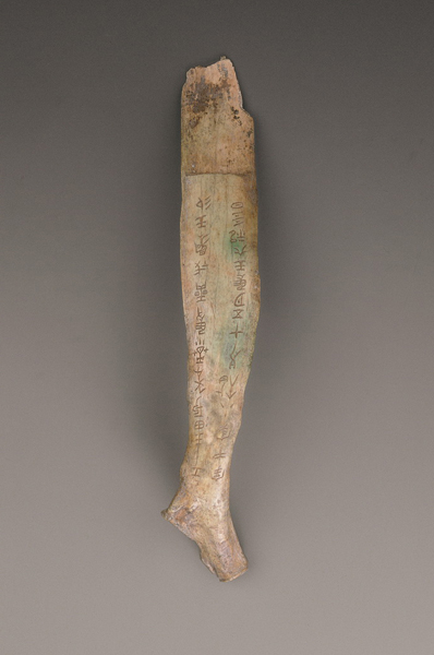 ??????: ???? ?????? ?????? ??? ???? ??????? ??????? ?? ?????? ??????